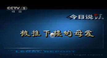 如何在今日说法里爆料,公众爆料背后的真相与正义